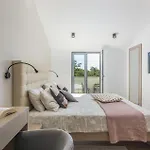 Aurelia Near Labin For 9 Persons With Heated 60 M2 Pool, Wellness & Kids Playground *