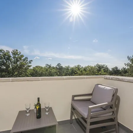 Willa Aurelia Near Labin For 9 Persons With Heated 60 M2 Pool, Wellness & Kids Playground