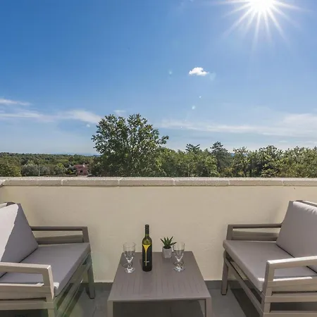 Aurelia Near Labin For 9 Persons With Heated 60 M2 Pool, Wellness & Kids Playground Willa Veligolji