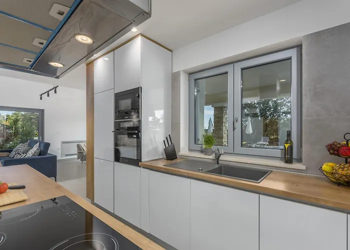 Aurelia Near Labin For 9 Persons With Heated 60 M2 Pool, Wellness & Kids Playground Vila